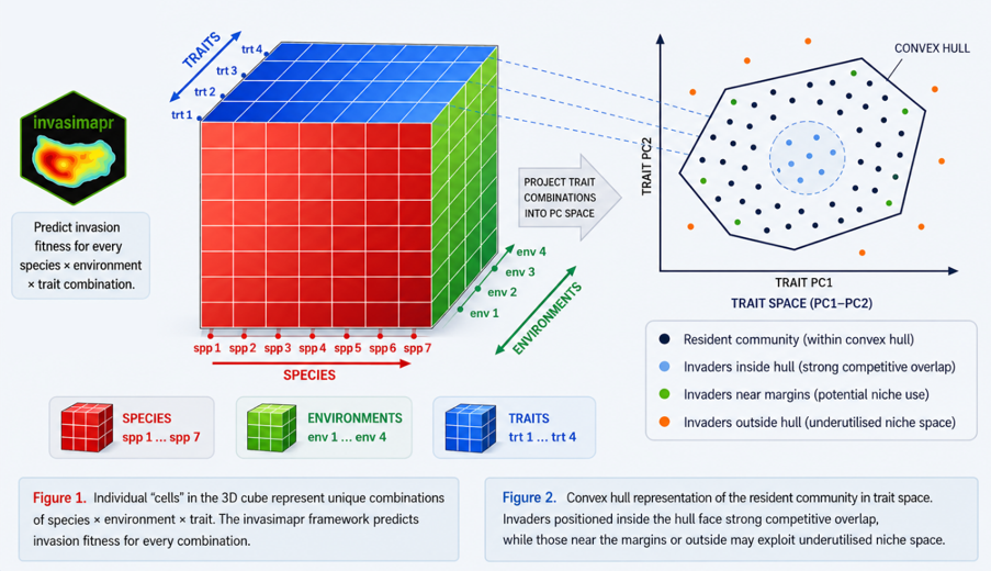 Trait-space modelling framework: a three-dimensional species x environment x trait cube is projected into principal-component trait space, where the convex hull defines the resident community.